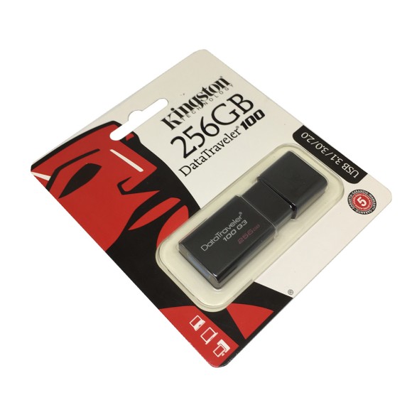 USB-Флеш  256GB kingston DT100-G3